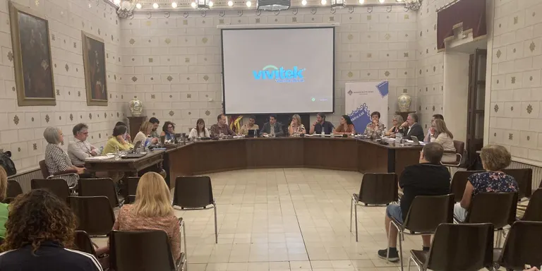 El ple de la Seu d'Urgell aprova diverses actualitzacions de les ordenances municipals