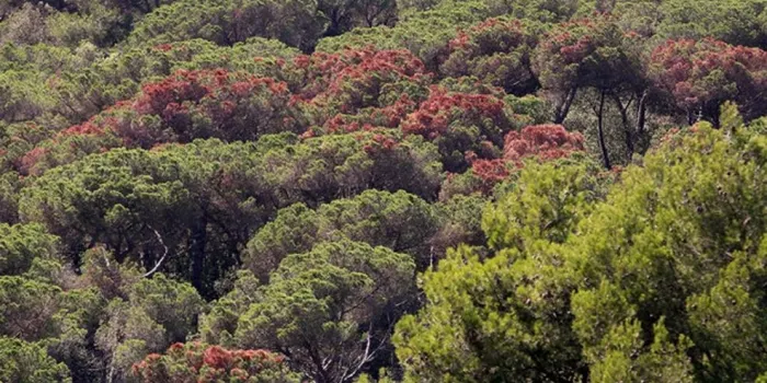 El CCM apostarà per un 2018 en què destinarà part dels recursos a l'àrea de Medi Ambient i la lluita contra la pobresa