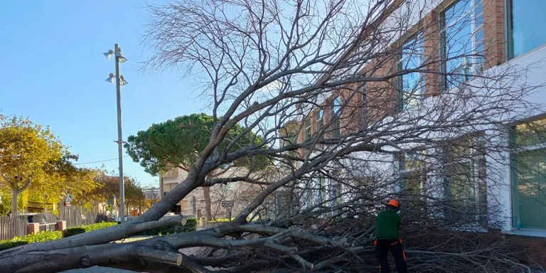 Normalitat i cap incidència de moment pel temporal de vent