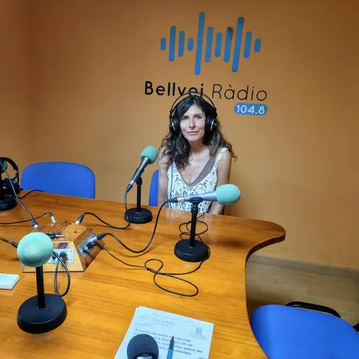 BELLVEI EN SINTONIA UN PROGRAMA D'ENTREVISTES DIVERSES