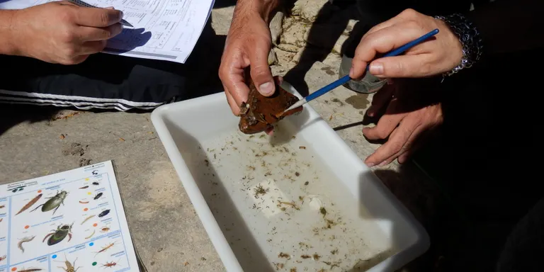 El Grup de Natura del Solsonès organitza una inspecció del riu Negre aquest diumenge