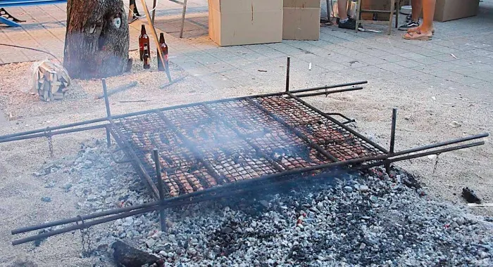( Foto: Xavi SalbanyÃ  )
