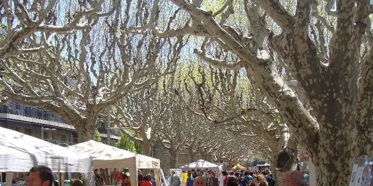 Sánchez Piñol, Espinosa i Dalmau, entre els més demanats per Sant Jordi a la Seu