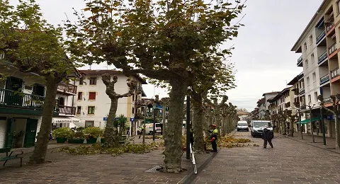 COMIENZA LA PODA DE ÁRBOLES DE OTOÑO EN HONDARRIBIA