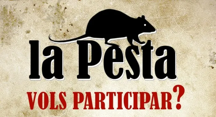 Ja comencen els preparatius per la Pesta