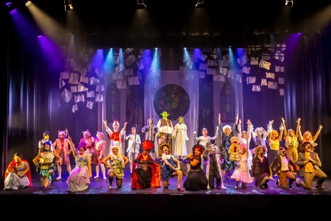 Manresa Teatre Musical torna aquest cap de setmana a Solsona amb una comèdia musical divertida i màgica