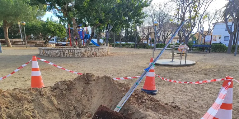 L'Ajuntament realitza actuacions en l'arbrat en diferents punts de Torredembarra