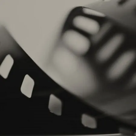 Cinema a la xarxa