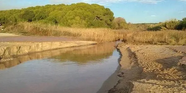 La Sínia se suma a la demanda d’incorporar un fons per al patrimoni natural als Pressupostos 2017