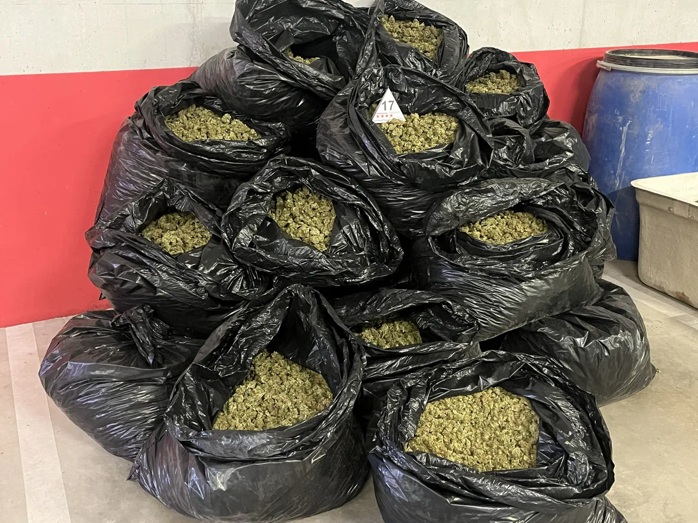 Els Mossos desmantellen un assecador de marihuana a Cabra del Camp amb 620 quilos i quatre armes de foc