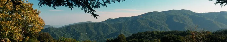 La Generalitat inicia la campanya forestal 2017