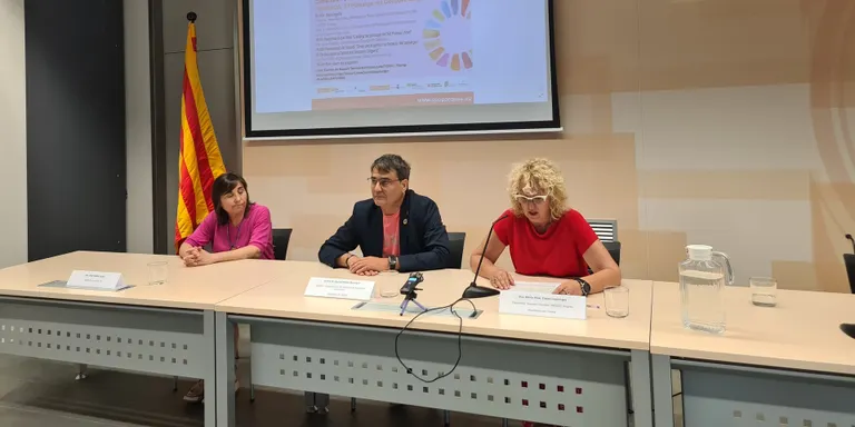 Un estudi encarregat pel Geoparc Orígens delimita les zones més adients per a parcs fotovoltaics