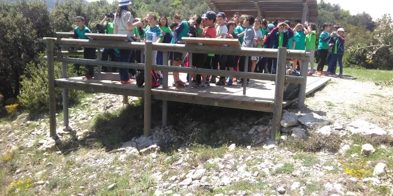 Els escolars de l'Alt Urgell visiten la Muntanya d'Alinyà