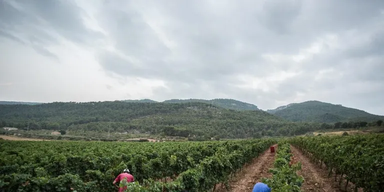 El Maresme forma part de la desena de comarques catalanes amb més risc d’incendi