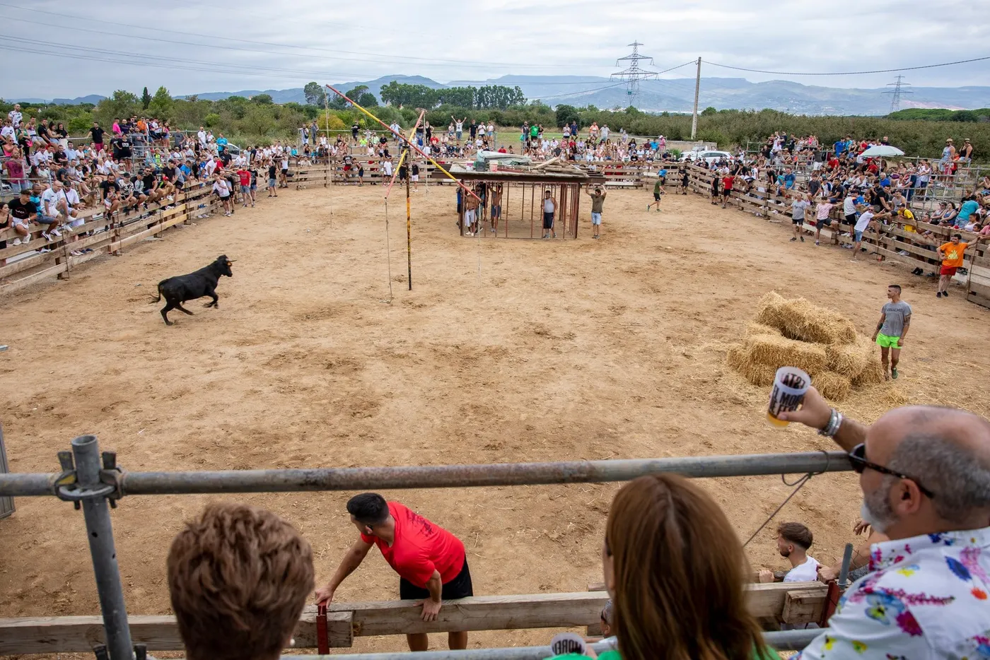 El Morell tornarà a tenir tempta de vaquetes per festa major