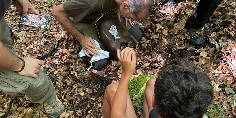 El Grup de Natura del Solsonès detecta la reproducció del liró gris a la comarca 50 anys després