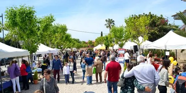 La Biblioteca d’Altafulla presenta les novetats literàries i les activitats per Sant Jordi