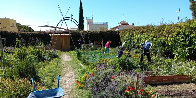 Els horts comunitaris de Can Travé arrenquen un nou curs obert a tothom