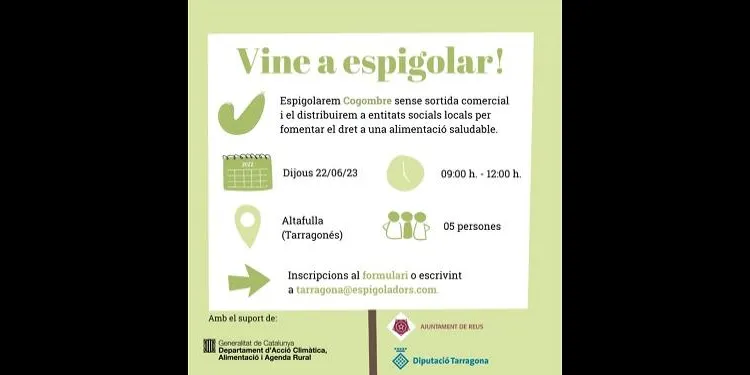 Nova jornada per espigolar a Altafulla
