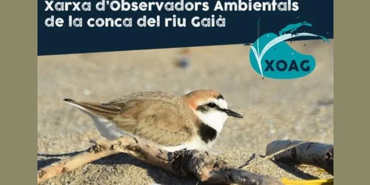 La Sínia vol ampliar la Xarxa d'Observadors en l'últim tram del Gaià