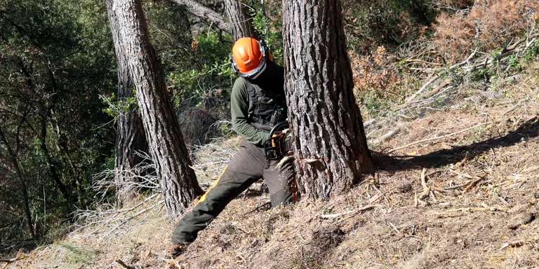 La sequera podria avançar l’inici de la campanya d’incendis a l’abril i ser la més complicada dels últims 30 anys
