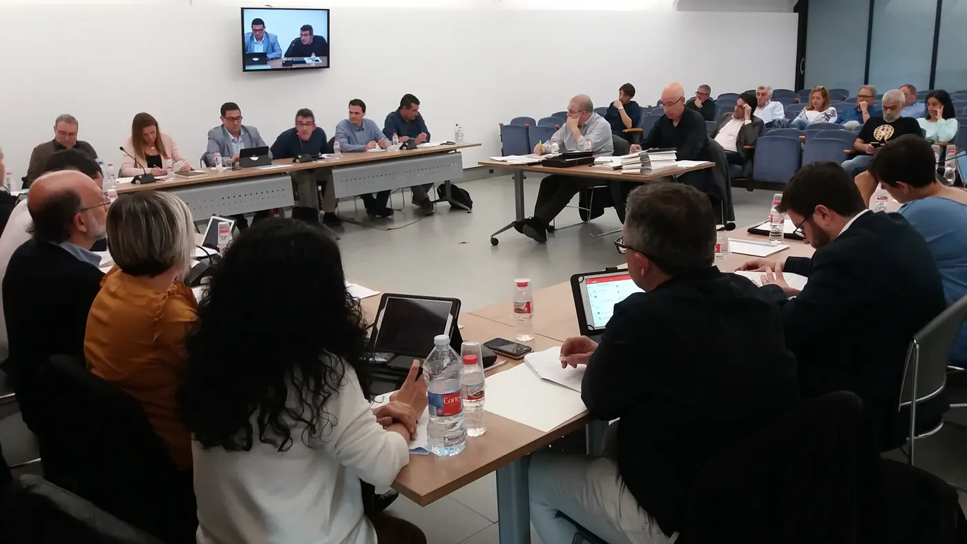 El ple de Pineda aprova la moció "en defensa dels/les treballadores/ors de l'àmbit de la llar i de la cura de les persones"