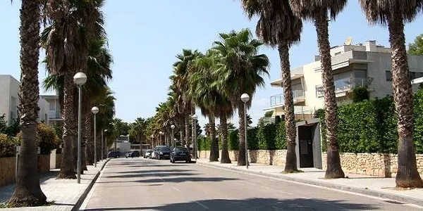 L’Ajuntament d’Altafulla obre el concurs de licitació del servei de poda