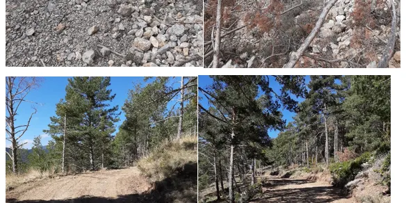 L'Ajuntament de Josa i Tuixent arranja el camí de Can Deu Serra, afectat pel temporal Glòria