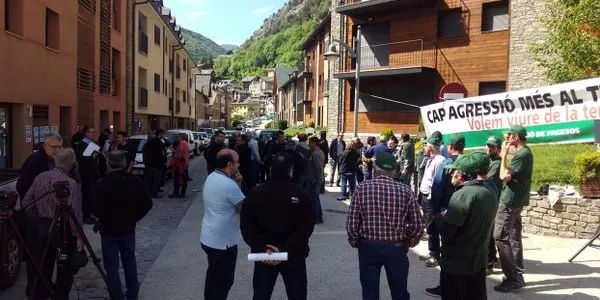 Unió de Pagesos posarà càmeres per gravar els atacs de voltors a bestiar viu