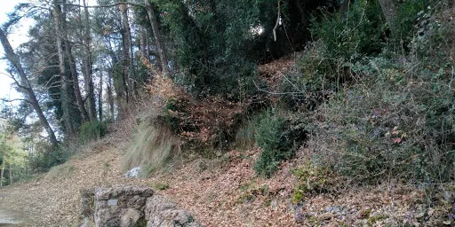 L'Ajuntament de Lladurs vol declarar el Pont de la Frau i les Fonts de Lladurs Bé Cultural d'Interès Local