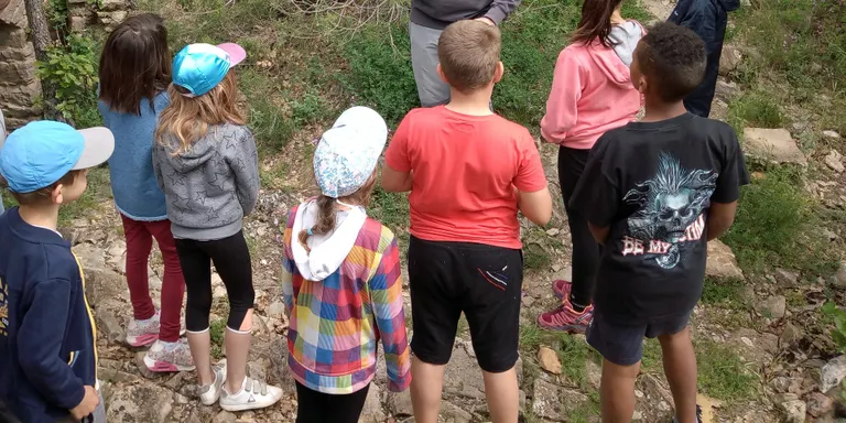 L'Escola Sant Climent de Coll de Nargó visita la Torre de la Vila a Valldarques