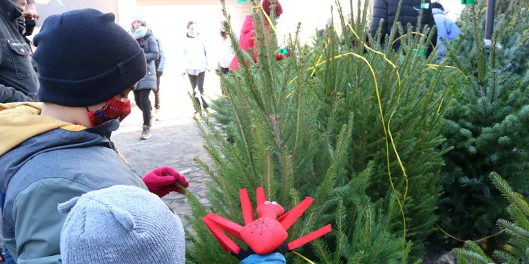 Espinelves manté el centenar de parades per la 41a Fira de l'Avet, deu de les quals seran d'arbres de Nadal