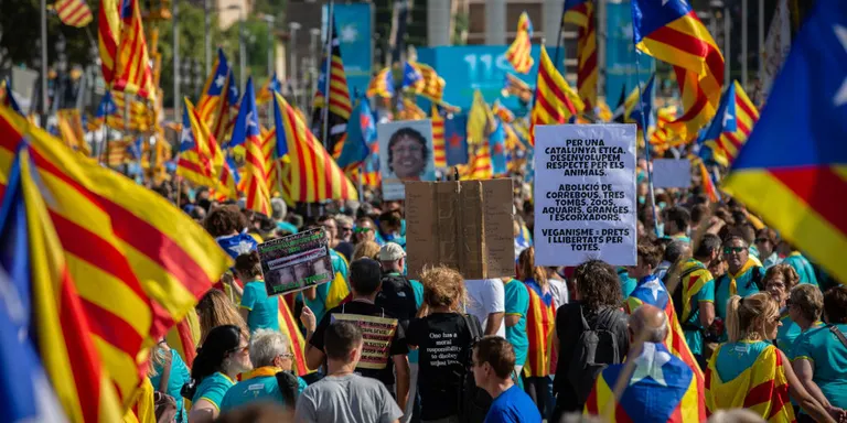 Valls podrà celebrar una manifestació de la Diada amb 500 persones