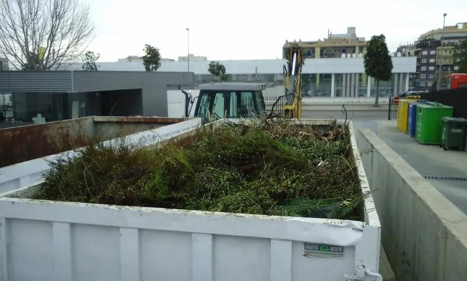 La deixalleria de Pineda recull els arbres de Nadal