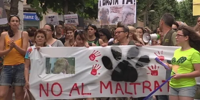 L’Associació contra el Maltractament animal de Mataró vol prohibir la venta d’animals