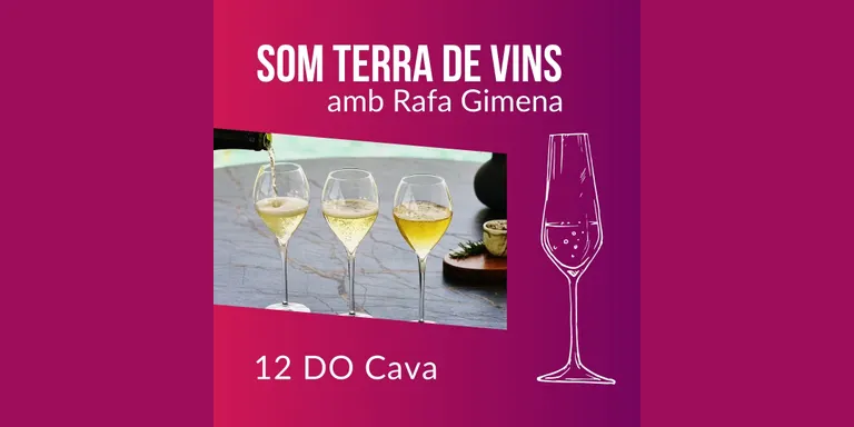 13 Som Terra de Vins - Enoturisme amb Rafa Gimena DO Cava