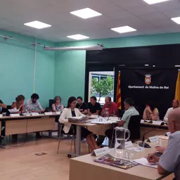 Molins de Rei al Dia del 20/7/2018 - episode art