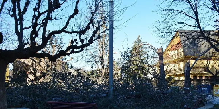 Desperfectes múltiples a la Seu i Castellciutat a causa d'un fort episodi de ventades