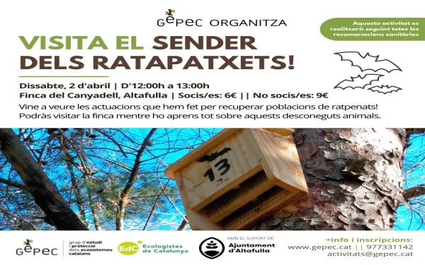 Centenars de ratapatxets fan estada a la finca del Canyadell d'Altafulla des que s'hi va condicionar una cova refugi