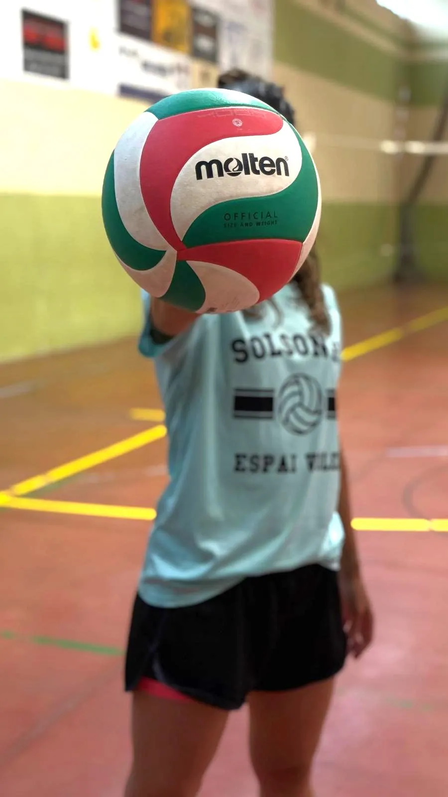 Organitzen un tast de vòlei per a l'alumnat de primària