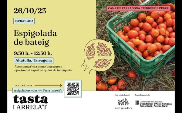 Foto: Espigoladors