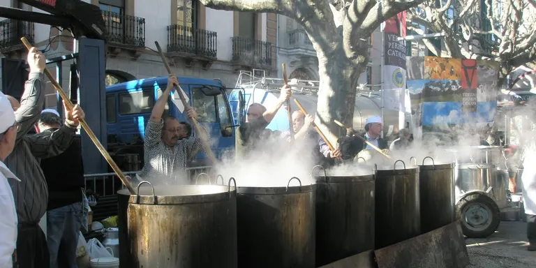 Tot a punt per a la Festivitat de Sant Antoni a la Seu