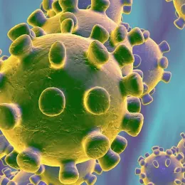 Programa Especial: El Morell combat el Coronavirus