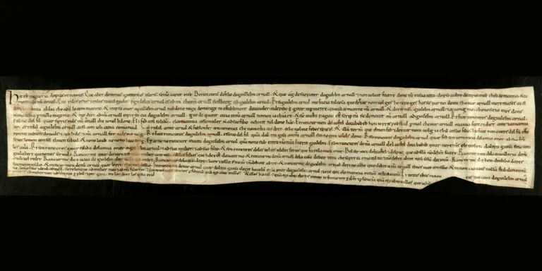 Identifiquen l’autor del Memorial de greuges de Guitard Isarn, senyor de Caboet