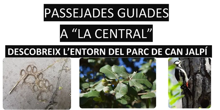 Música, josc d'aigua, i una passejada per Can Jalpí, són les propostes culturals del cap de setmana