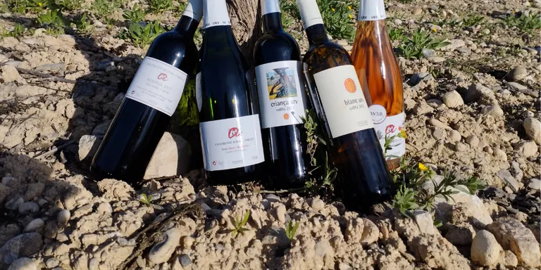 La Facultat d’Enologia de la URV presenta els nous vins de la collita 2022, elaborats a Constantí