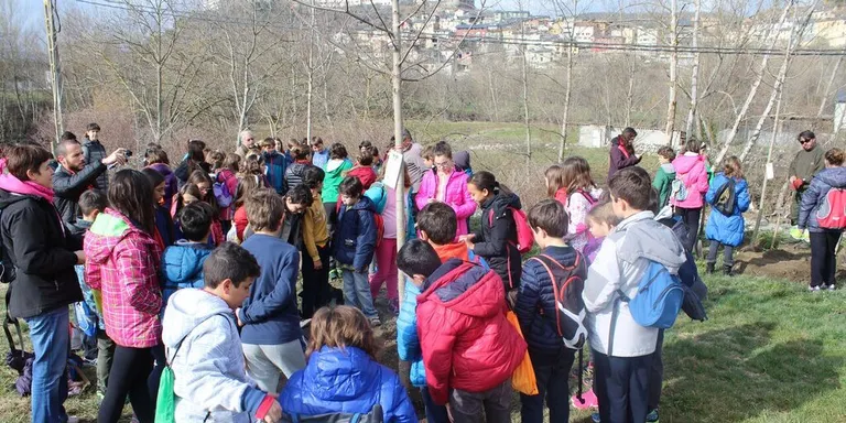 Les escoles de la Seu i Castellciutat celebren el Dia de l'Arbre