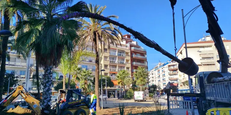 Remodelació de la jardineria de la Plaça de les Palmeres
