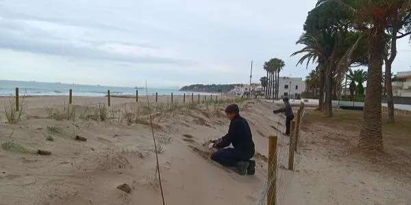 L’Ajuntament d’Altafulla licita el servei d’assessorament tècnic per la gestió de la platja