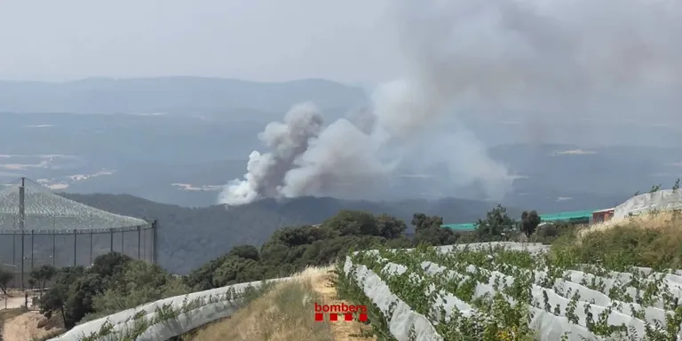 Un incendi forestal crema amb força a Lladurs, al Solsonès